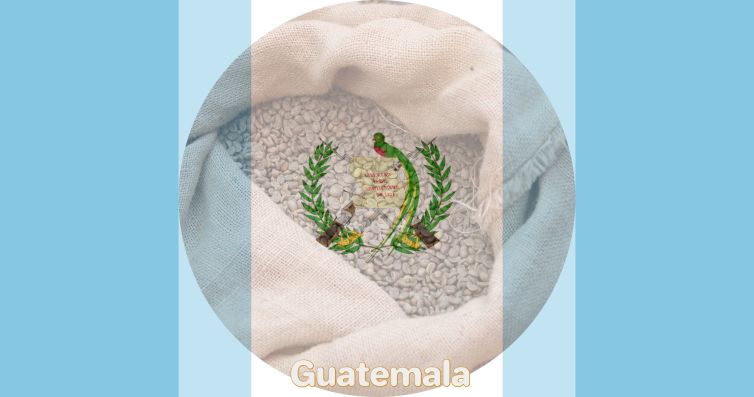 Guatemala Huehuetenango Green Coffee Beans